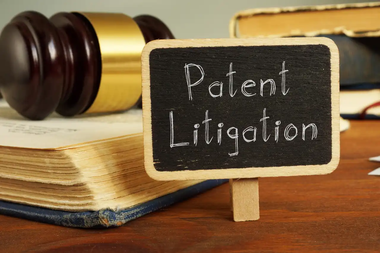 Understanding the Dynamics of Patent Litigation in Today's Market